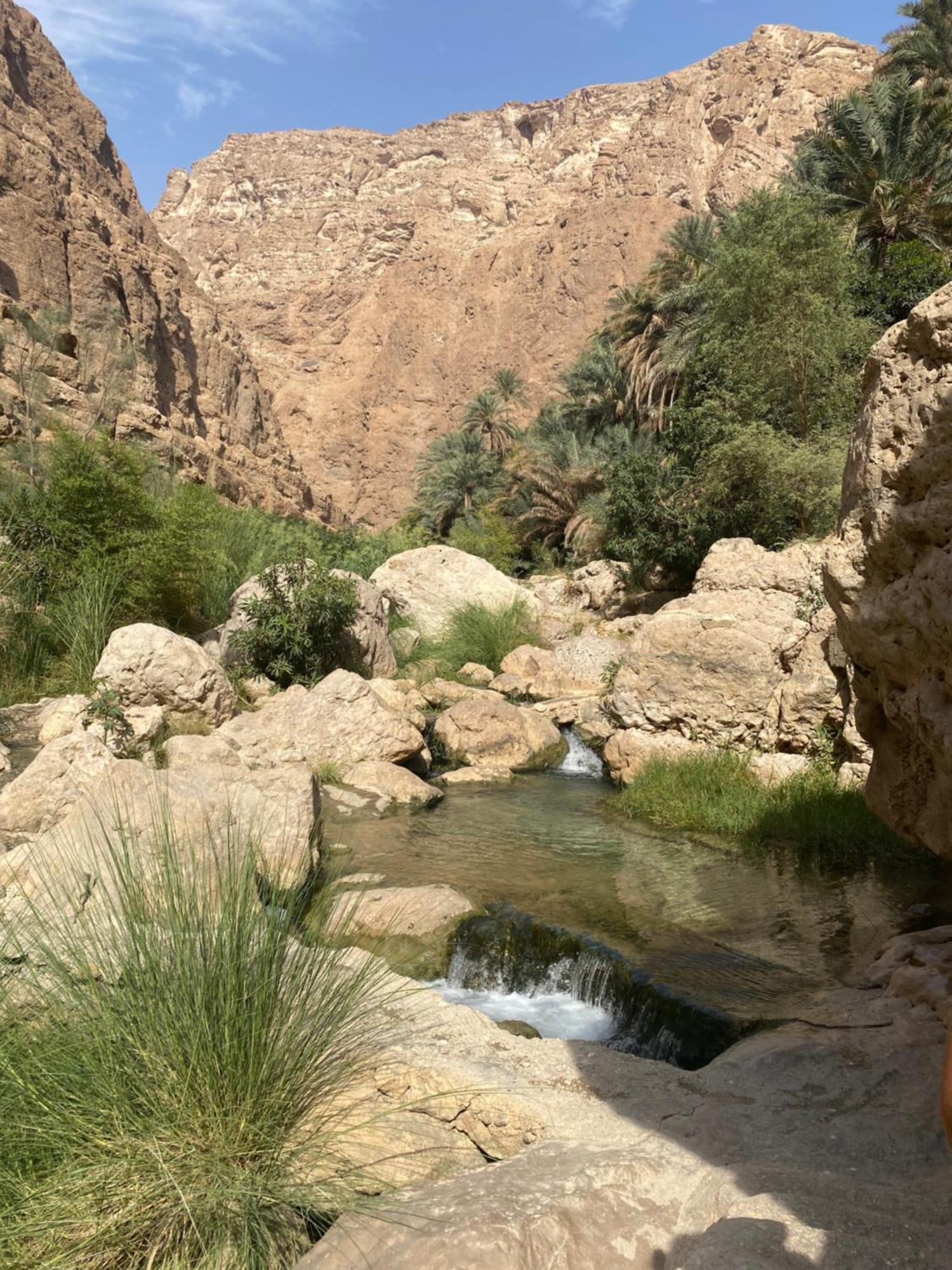Wadi Shab Guest House Tiwi Exterior foto