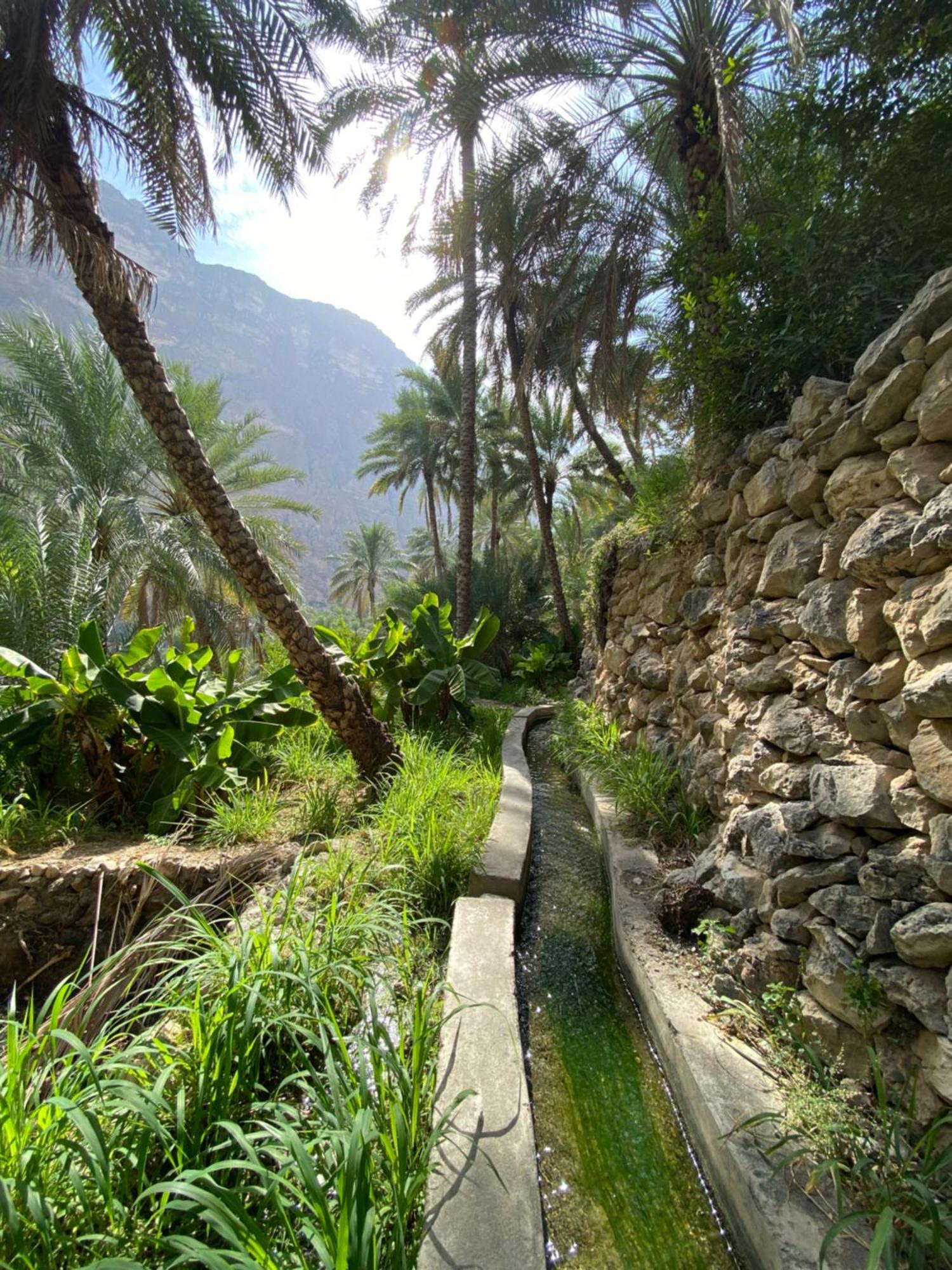 Wadi Shab Guest House Tiwi Exterior foto