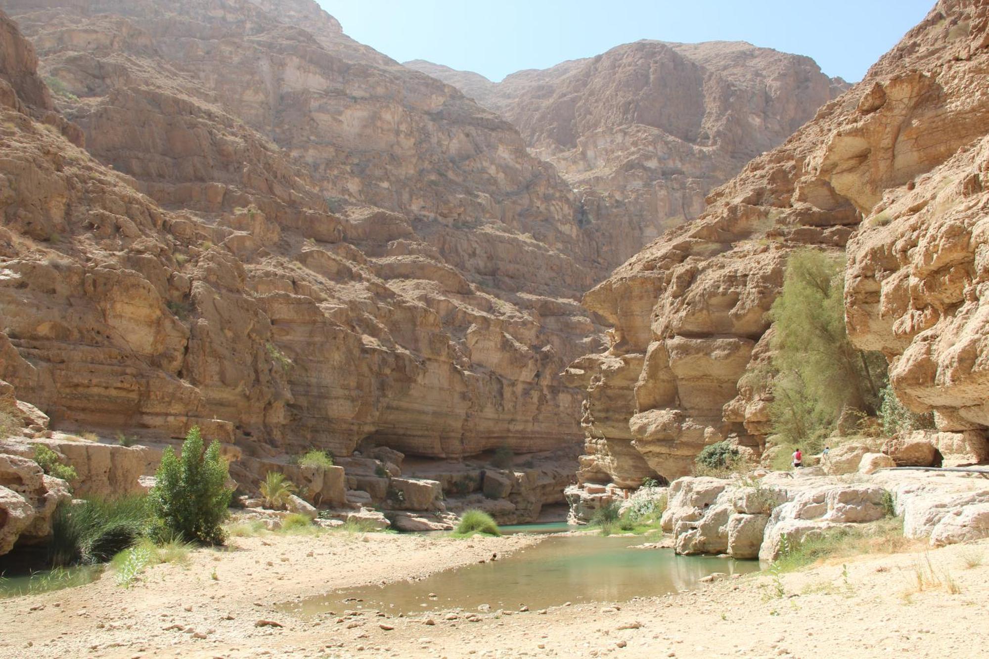 Wadi Shab Guest House Tiwi Exterior foto
