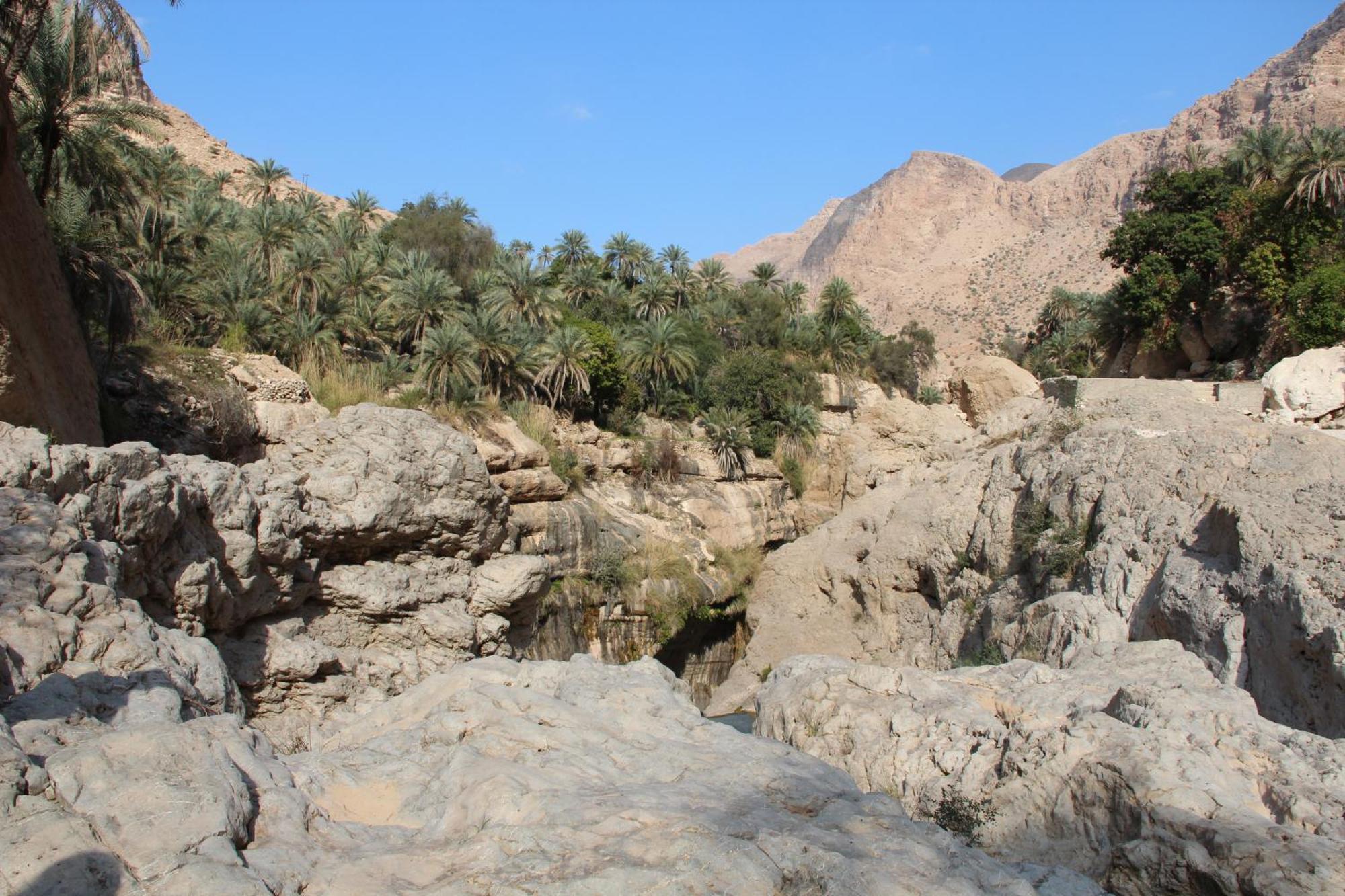 Wadi Shab Guest House Tiwi Exterior foto